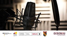 Ein großes Studiomikrofon steht vor einer schallgedämmten Wand in einem Aufnahmeraum.