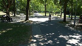 Ein Kind fährt auf einem Fahrrad durch einen Park mit Schatten spendenden Bäumen.