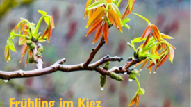 Das „brunnen“-Magazin steht in der neuesten Ausgabe ganz im Zeichen des Frühlings. (Bild: Dominique Hensel)