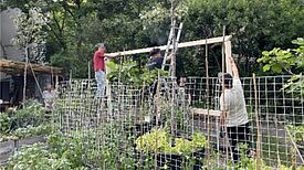 Vier Personen bauen in einem Garten eine Holzkonstruktion, im Vordergrund sind Hochbeete mit Pflanzen und einem Ranknetz zu sehen.