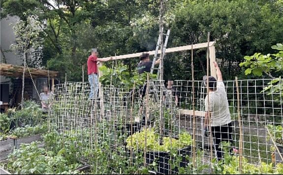 Vier Personen bauen in einem Garten eine Holzkonstruktion, im Vordergrund sind Hochbeete mit Pflanzen und einem Ranknetz zu sehen.