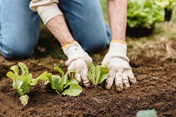 Mit den Mitteln des Aktionsfonds wurden verschiedene Aktionen für Klimaschutz und Klimaanpassung umgesetzt. (Bild: Pexels / Greta Hoffman)