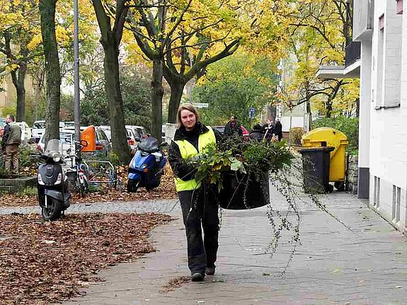 Büsche wurden von den Kiezläufern geschnitten. Bild: Gruppe F, QM Brunnenviertel/Ackerstraße 