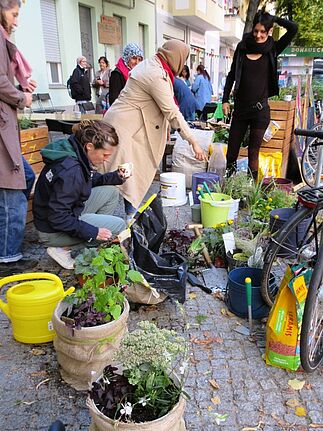 Die Besuchenden bepflanzen fleißig zahlreiche Blumenkübel. (Bild: Jens Sethmann)