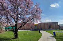 Im Vordergrund steht ein blühender Baum auf einer großen Wiese. Dahinter führt ein gepflasterter Weg in leichtem Bogen zu einem flachen Gebäude mit Holzfassade.