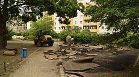 Rund um die Kastanienallee entstehen neue Spielplätze, ein Bewegungsparcours und ein umgestalteter „Zentraler Platz“. Foto: QM Boulevard Kastanienallee 