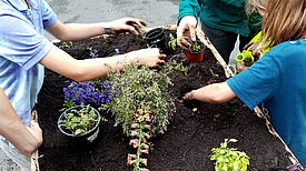 Die jungen Gärtnerinnen und Gärtner überlegen sich vorher genau welche Blumen zusammen in ein Beet gesetzt werden. Bild: QM Wassertorplatz.