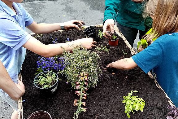 Die jungen Gärtnerinnen und Gärtner überlegen sich vorher genau welche Blumen zusammen in ein Beet gesetzt werden. Bild: QM Wassertorplatz.