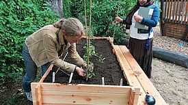 Zwei Frauen arbeiten gemeinsam an einem frisch mit Erde gefüllten Hochbeet; eine pflanzt Gemüsepflanzen, die andere hält eine Mappe, im Hintergrund ist Grün und ein Spielplatz sichtbar.