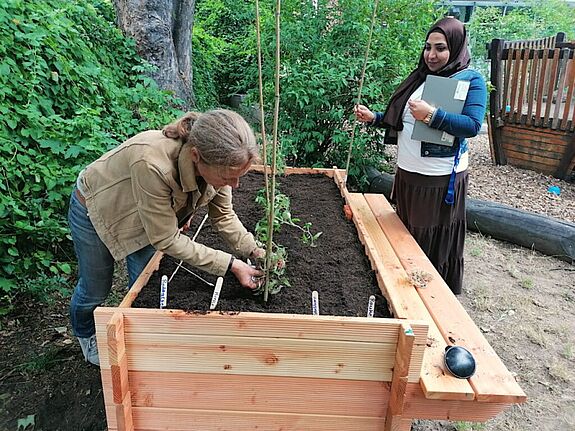 Zwei Frauen arbeiten gemeinsam an einem frisch mit Erde gefüllten Hochbeet; eine pflanzt Gemüsepflanzen, die andere hält eine Mappe, im Hintergrund ist Grün und ein Spielplatz sichtbar.