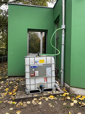 Ein 1000 Kubikmeter fassender sogenannter IBC-Tank mit Wasserhahn ist über einen Schlauch mit dem Regenrohr eines flachen grünen Gebäudes verbunden. Auf dem Boden liegt gelbes Laub, im Hintergrund Bäume. 