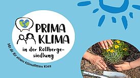 Auf dem Flyer des Projekts „Prima Klima in der Rollbergesiedlung“ ist ein Logo und eine Abbildung von Händen beim Pflanzen zu sehen.