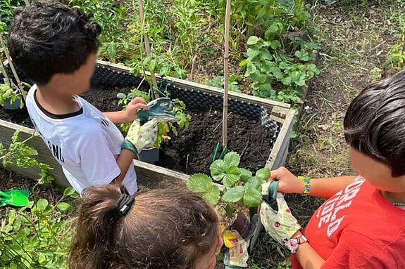 Mit Begeisterung pflanzten die jungen Gärtnerinnen und Gärtner in einem Hochbeet des Projekts „Unser Garten, unser Nachbar:in“. (Bild: Julian Krischan)