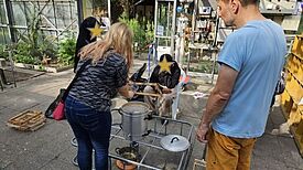 Eine Frau und ein Mann stehen mit Jugendlichen an einem Tisch mit Kochutensilien in einem Gewächshaus.