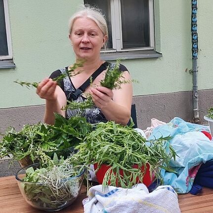 Im zweiten Teil des Workshops wurden vor dem Quartiersbüro Wildkräuter erkundet. (Bild: Birgit Leiß)