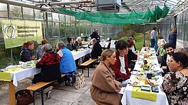 Im Gewächshaus auf dem Nachbarschaftscampus Dammweg kamen die aktiven Bürgerinnen und Bürger zu einem Picknick zusammen. (Bild: Dammwegsiedlung / Weiße Siedlung W+P GmbH)