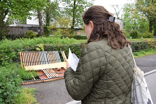 Der Müll muss weg! Stadträtin Eva Majewski informierte das Ordnungsamt direkt per App. (Bild: QM Germaniagarten)