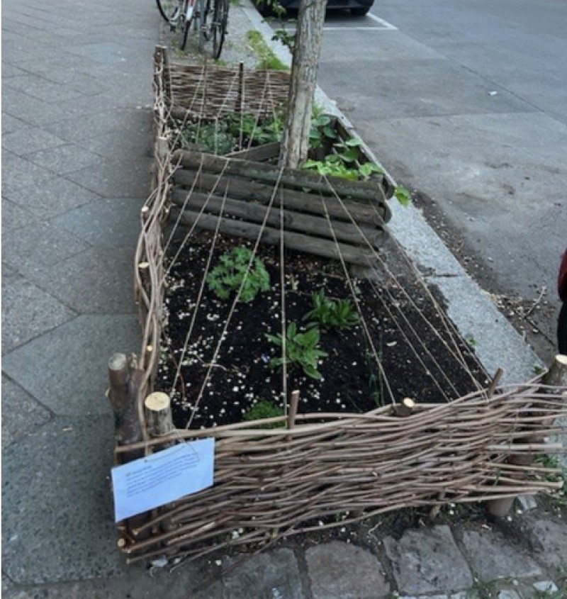 Eine Baumscheibe mit Gemüse und Sträuchern in einem Weidenflechtzaun an der Rosegger-/Weserstraße im QM-Gebiet Harzer Straße.