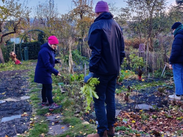 Der Garten in der Gemeinschaftsparzelle P 25 wurde zusammen winterfest gemacht (Bild: Birgit Leiß)