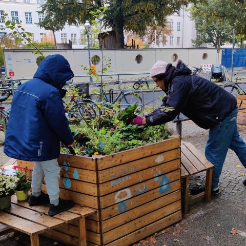 Die Pflanzen und Bänke müssen für den Winter in die Rixdorfer Grundschule umziehen. (Bild: Birgit Leiß)