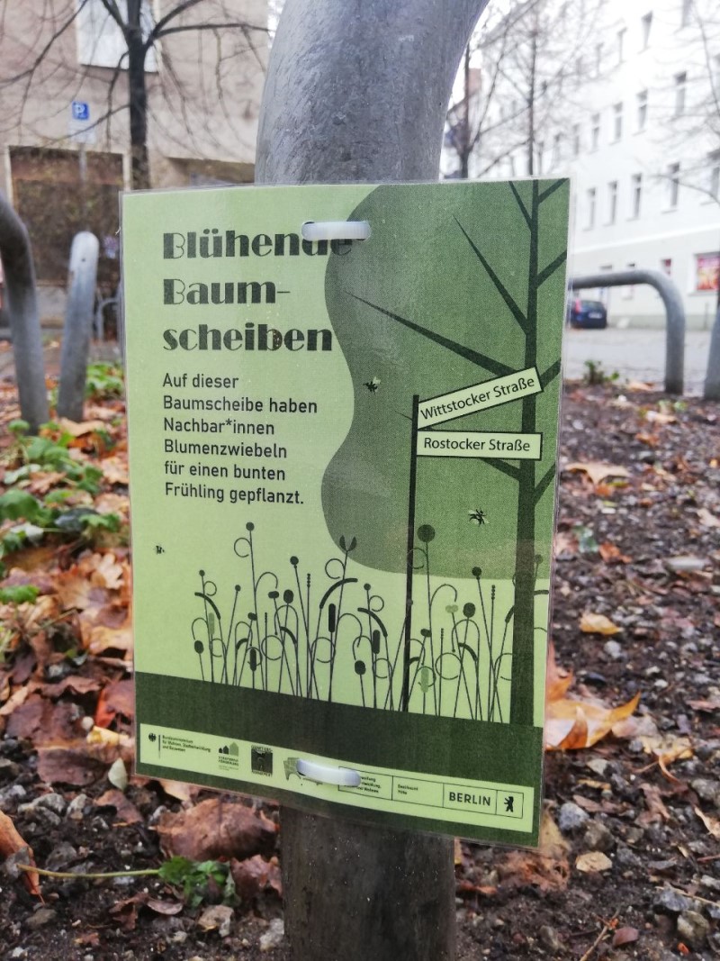 Die Engagierten brachten Informationsschilder an den bepflanzten Baumscheiben an. (Bild: QM Beusselstraße)