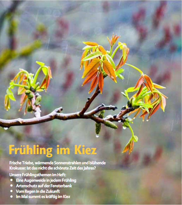 Das „brunnen“-Magazin steht in der neuesten Ausgabe ganz im Zeichen des Frühlings. (Bild: Dominique Hensel)