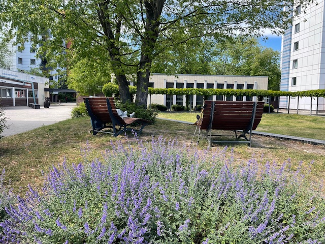 Zwei Bänke von hinten unter einem Baum. Die Sonne scheint, im Hintergrund Neubauten, vorn eine blau blühende Staude.