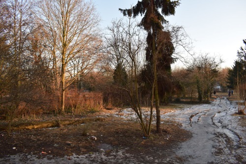Bisher war das Betreten des ehemaligen St. Thomas Friedhof im Schillerkiez verboten. Bild: QM Schillerpromenade