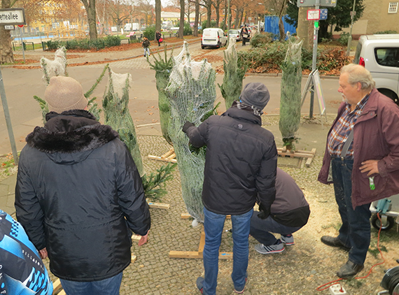 Unter Nachbarn: Weihnachtsbäume für die Vorgärten im Lettekiez. Bild: QM Letteplatz